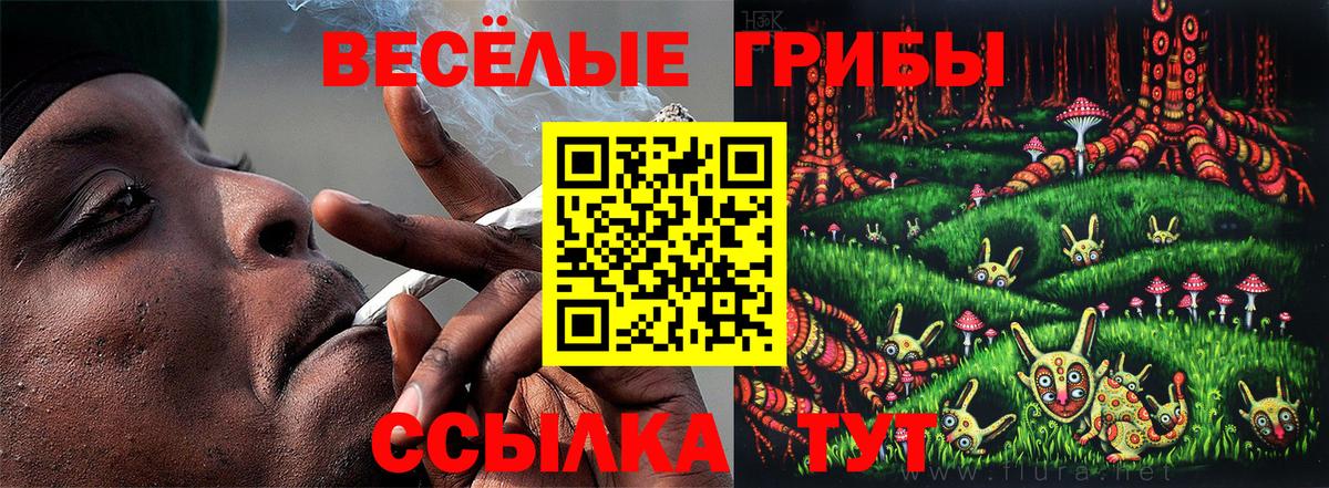 Галлюциногенные грибы прущие грибы Менделеевск