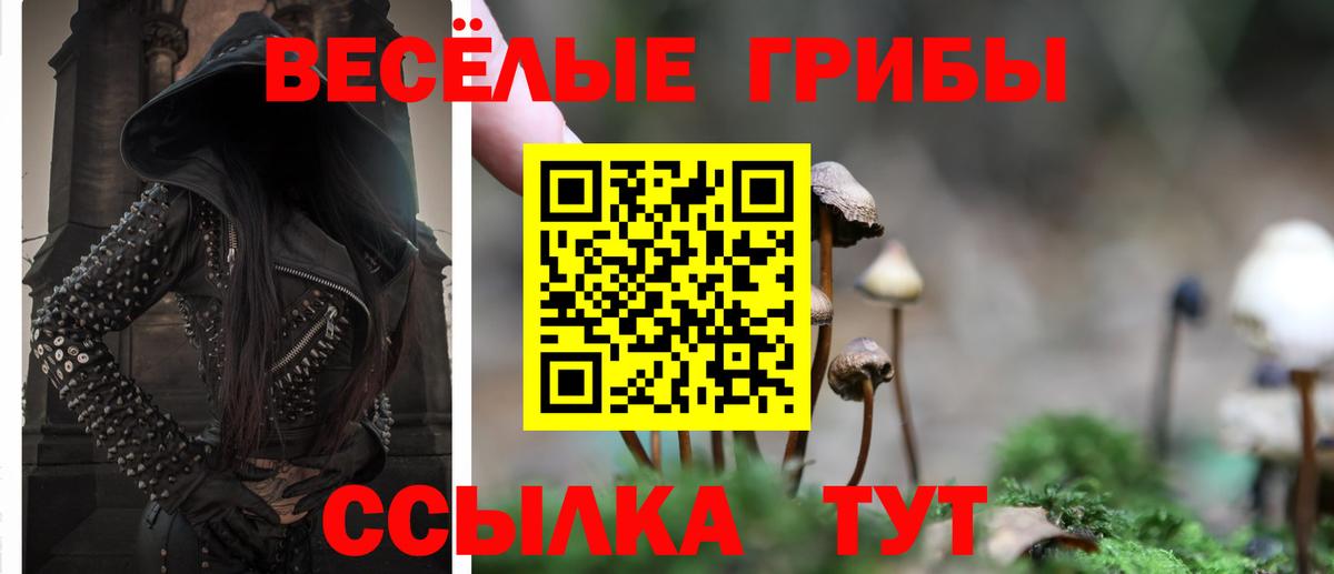 Галлюциногенные грибы прущие грибы  Вход с VPN  Менделеевск 